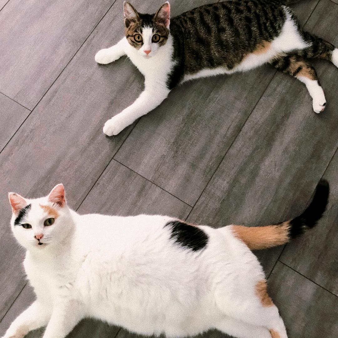 小彭要努力赚钱