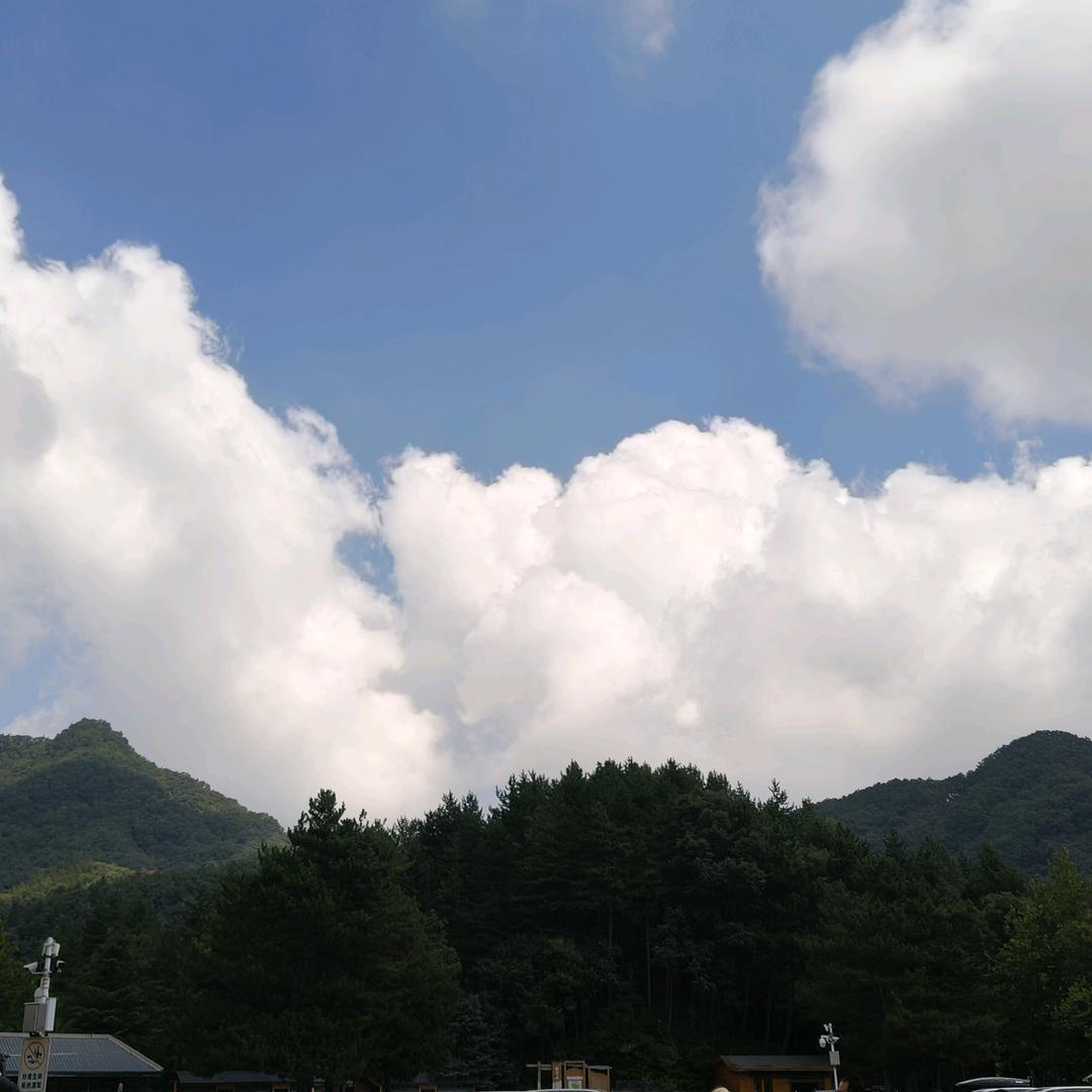兰兰已封