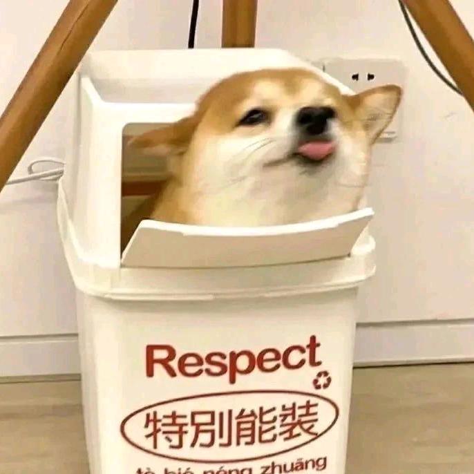 许愿✨