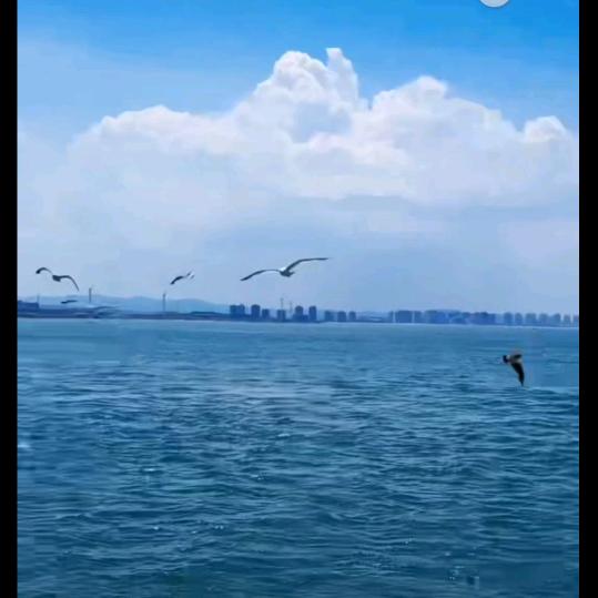 百搭