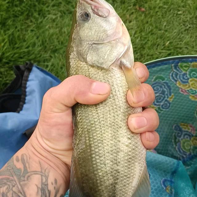 肆柒壹零🎣🎣