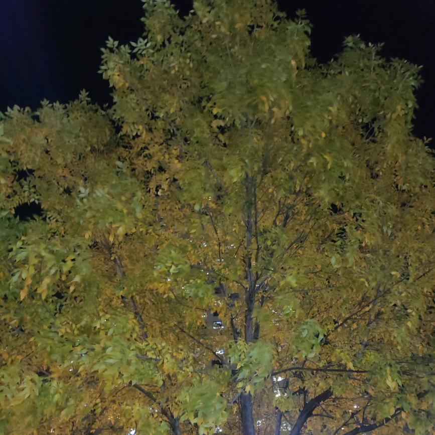 AAA 🙏&大港&🙏