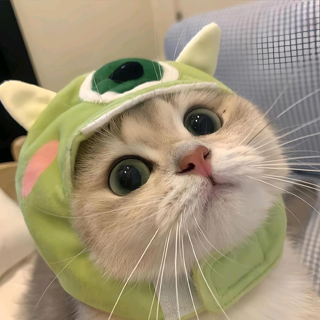贝贝