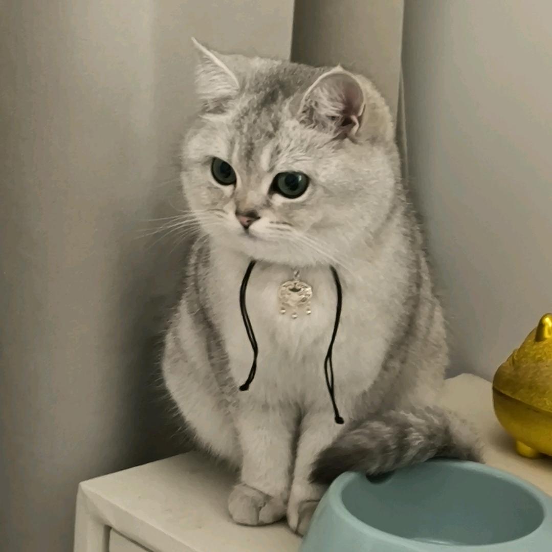 富贵妈