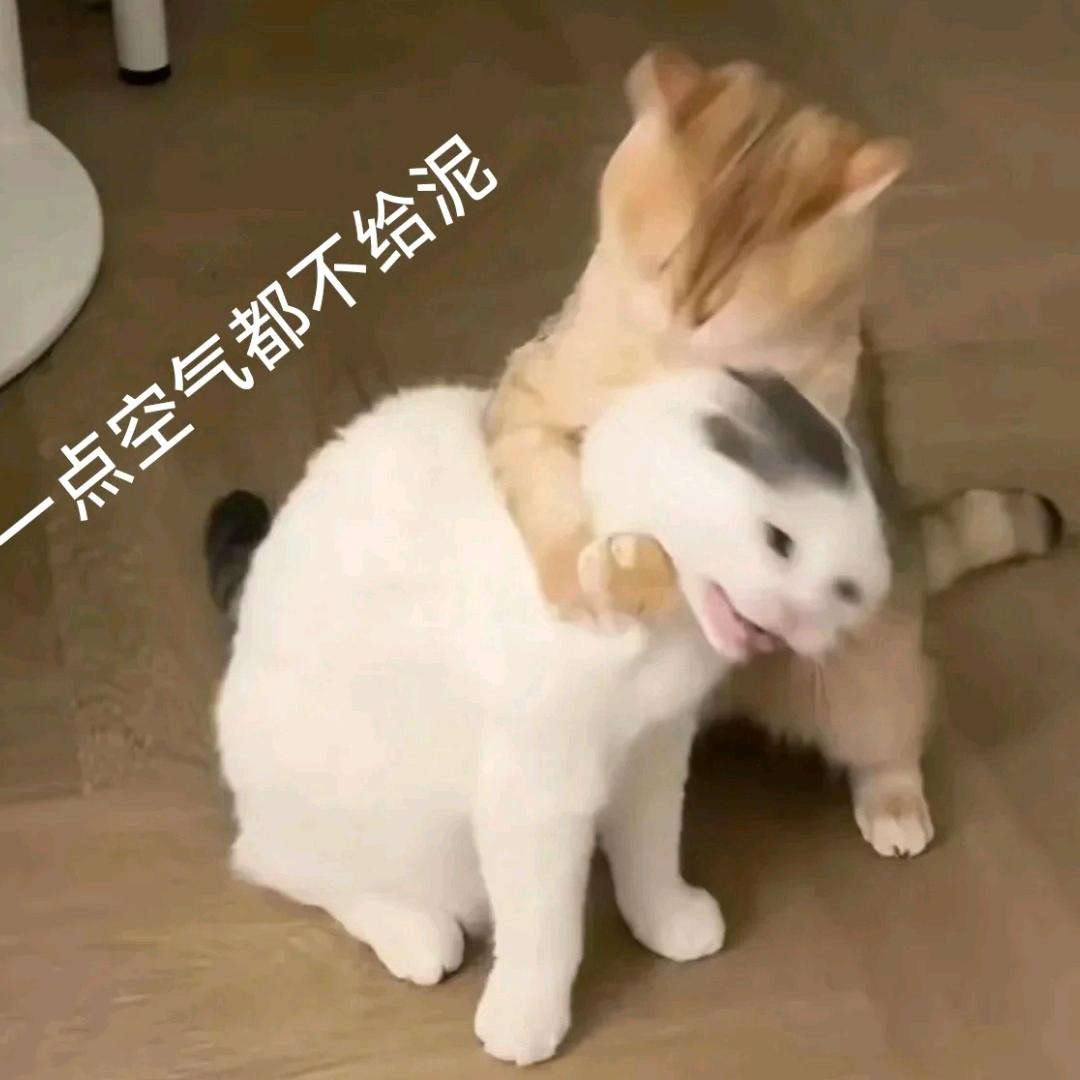 Liyuan