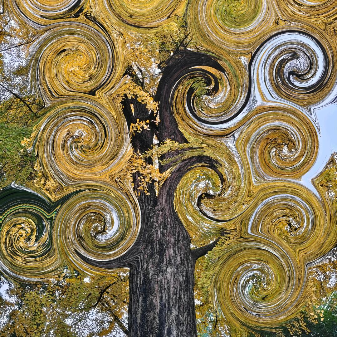 AAA农药批发陈二少