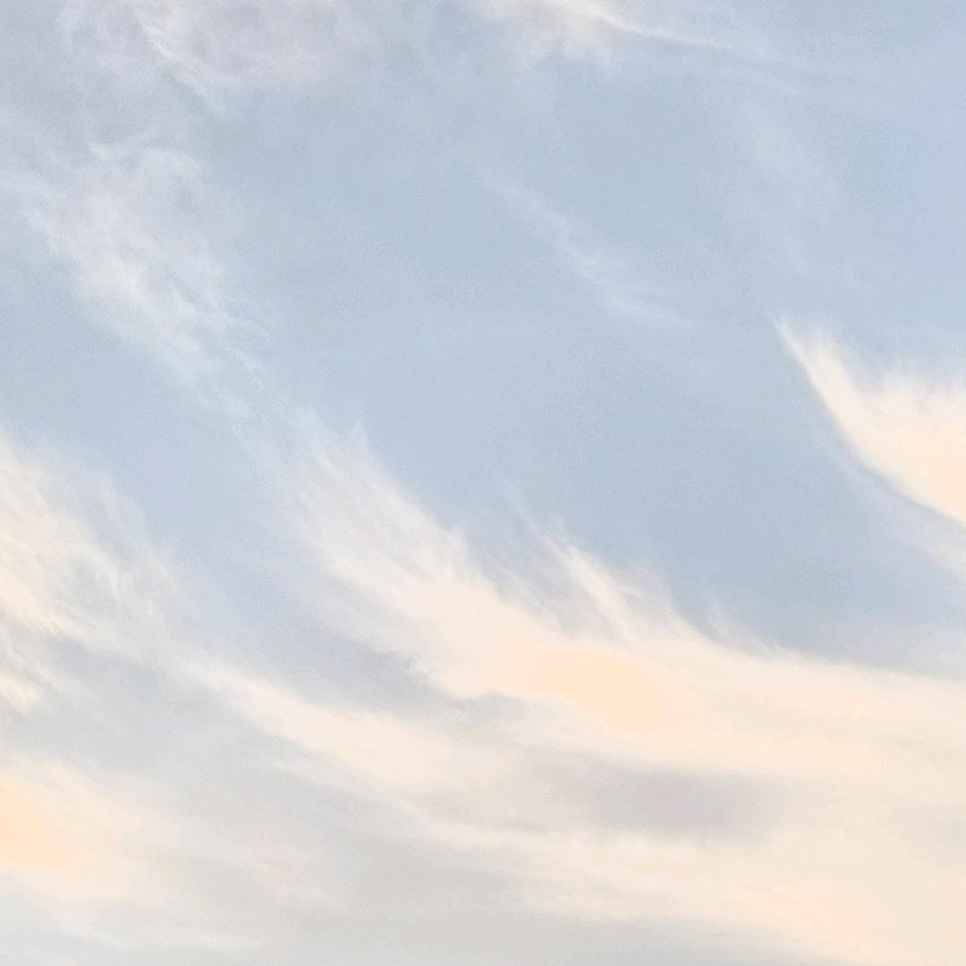 半盏清茶🌿，一颗静心❤️
