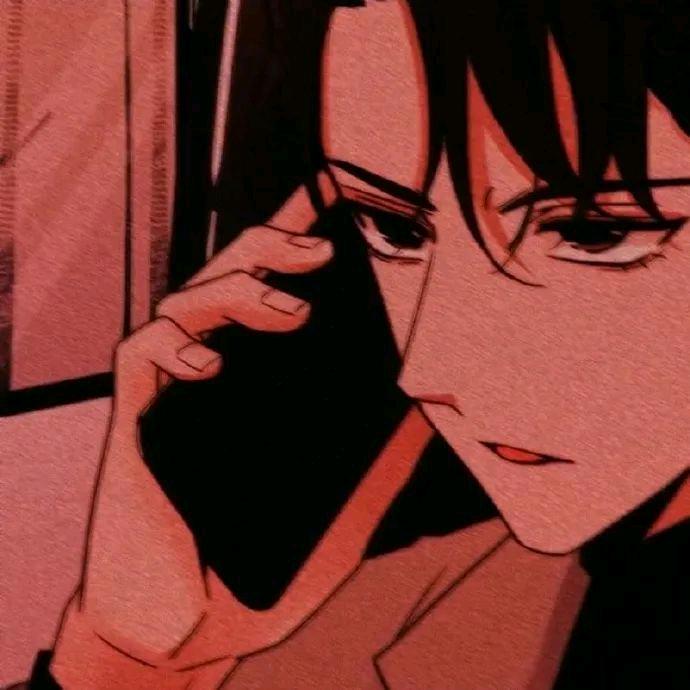 梵高先生.