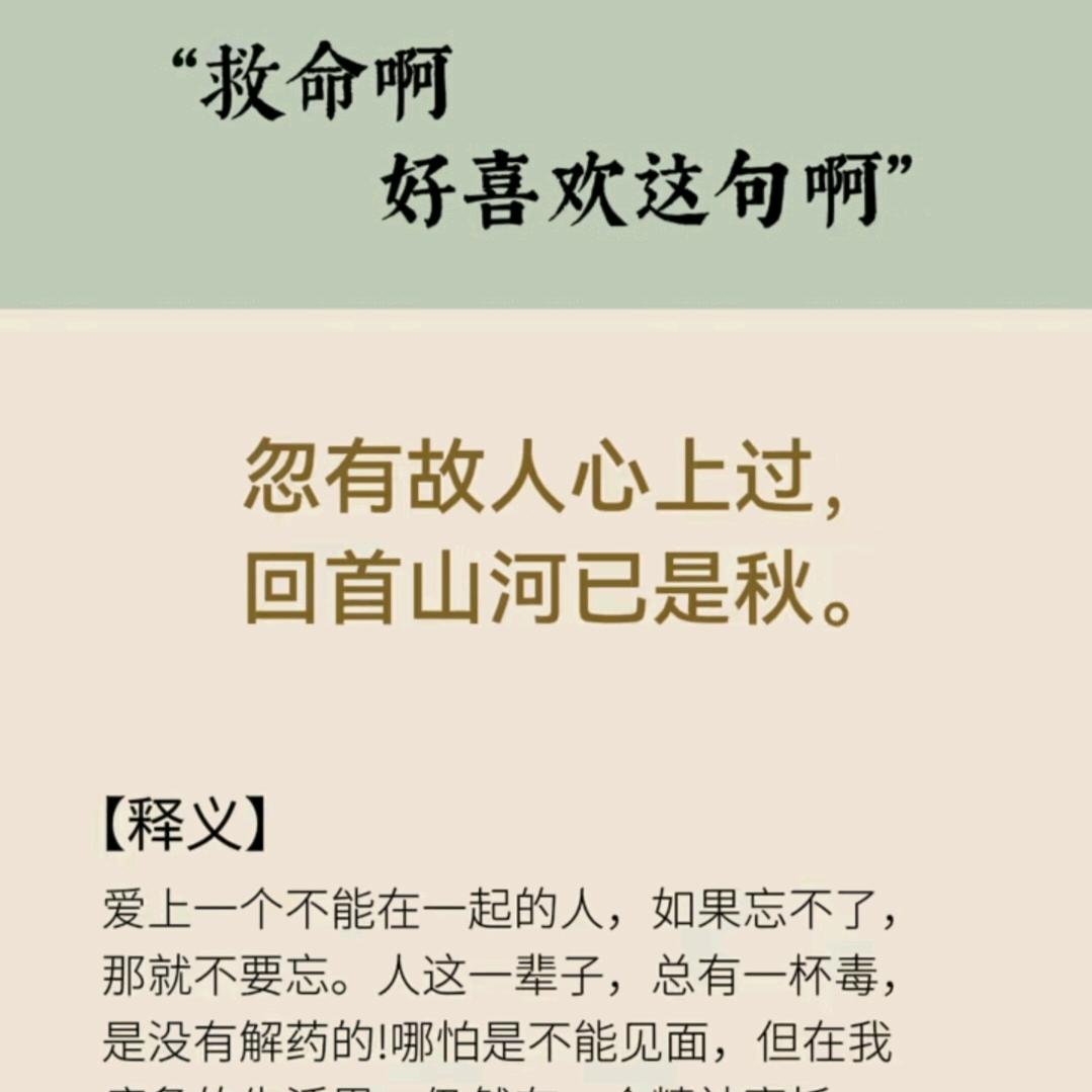 冬哥