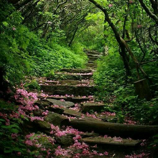 永远（橱窗有物）