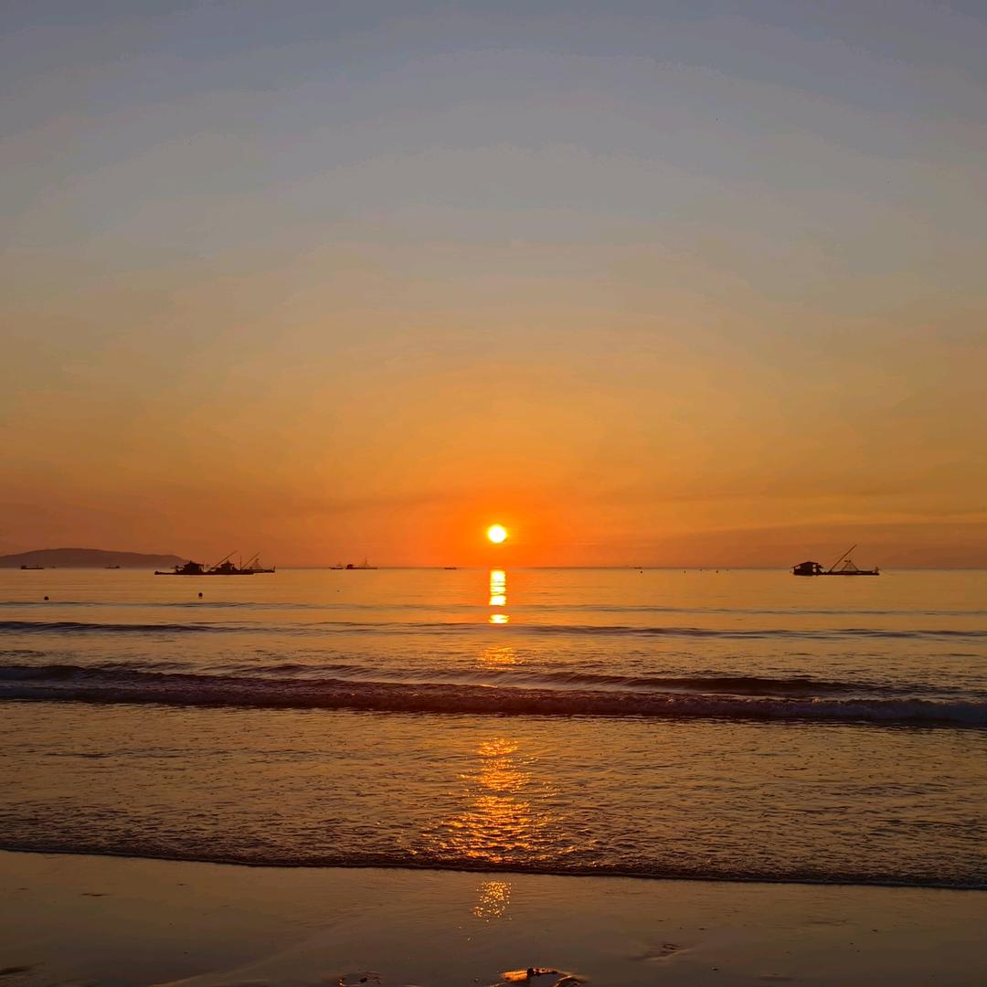 浅梓