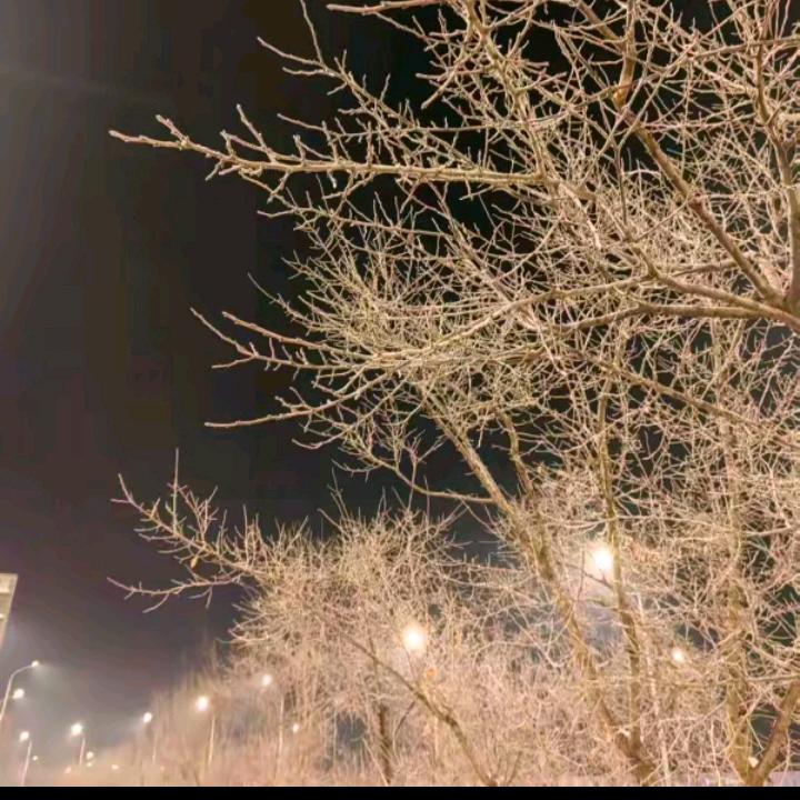 @生活就这么简单