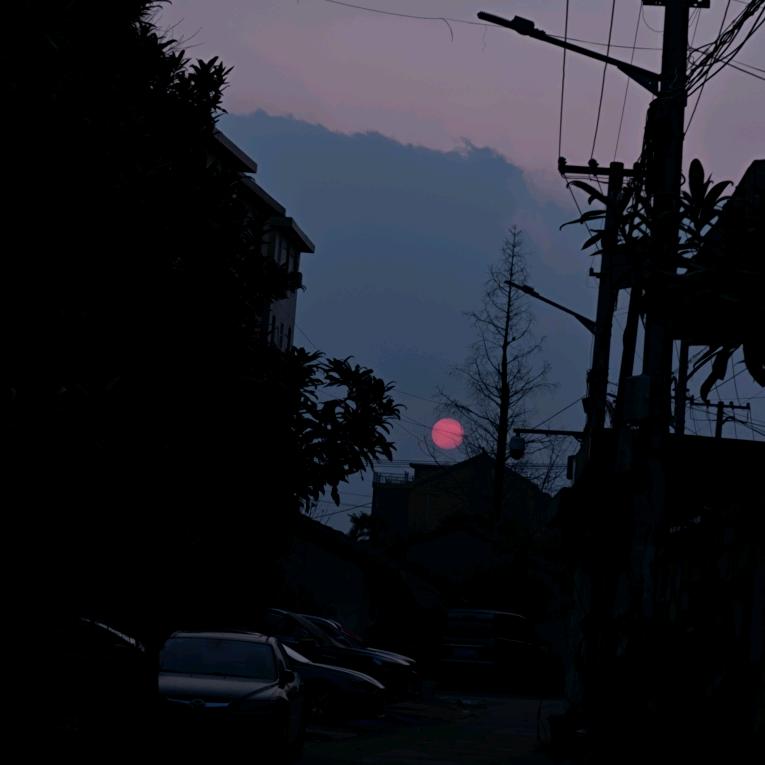 王也（三角洲代肝）