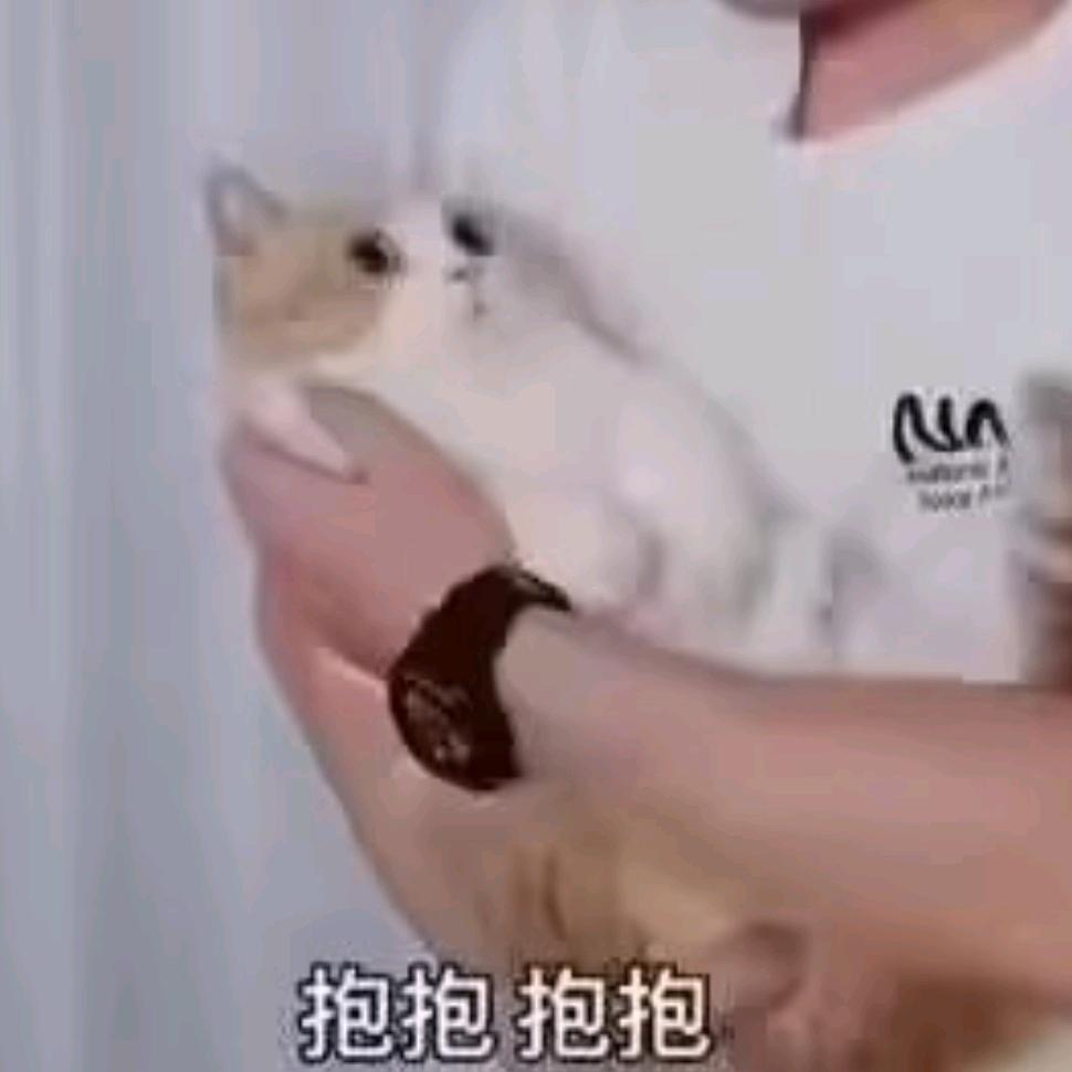 浮云打盹