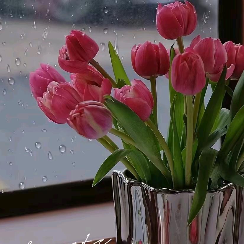 专业贴布，美缝