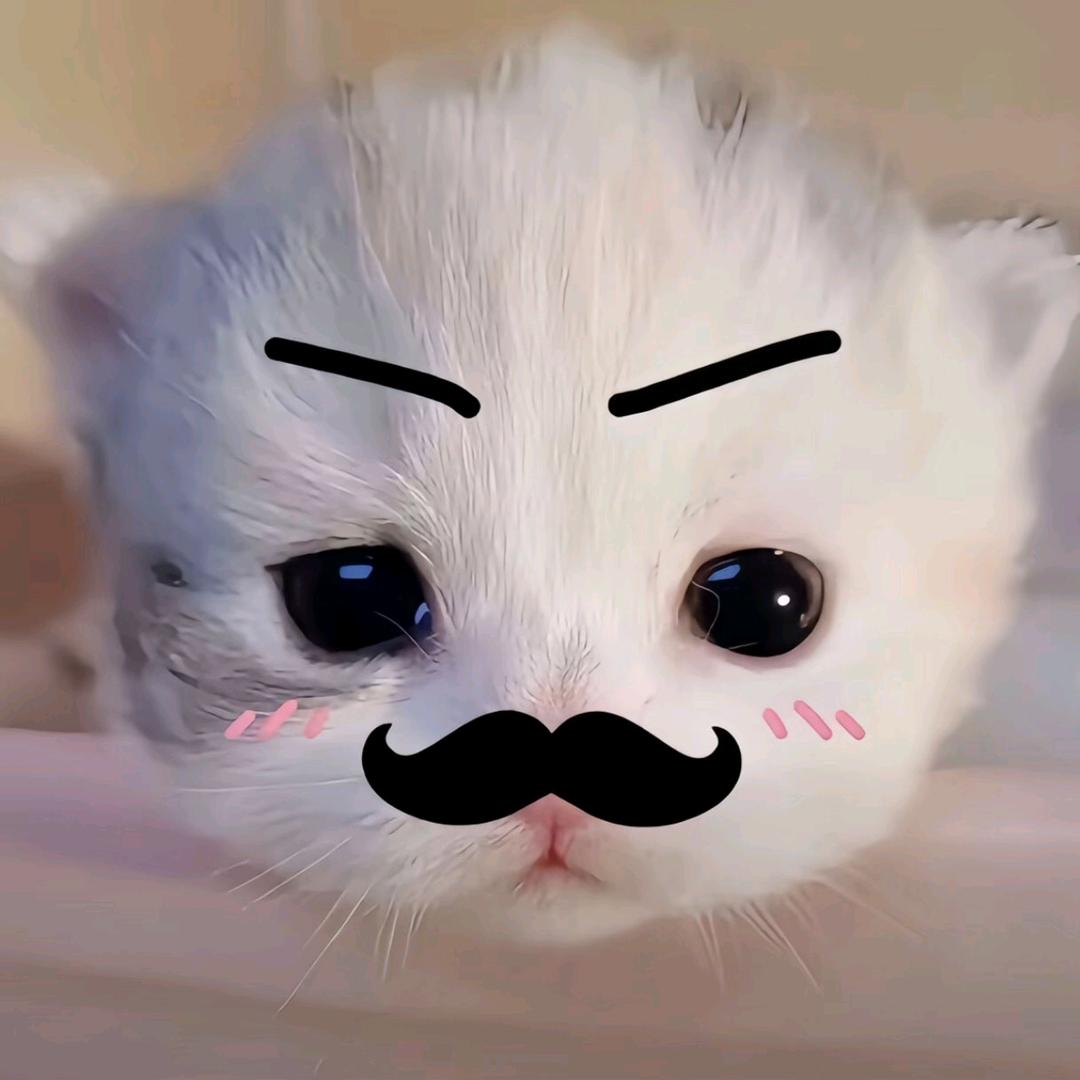 东莞下小雨.