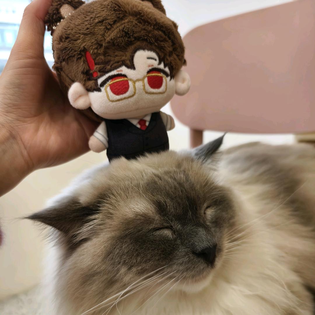 采菇凉的小蘑菇