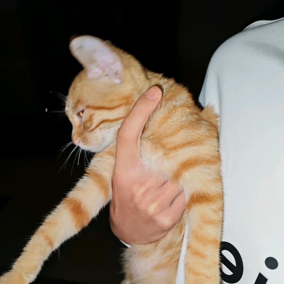 Claude