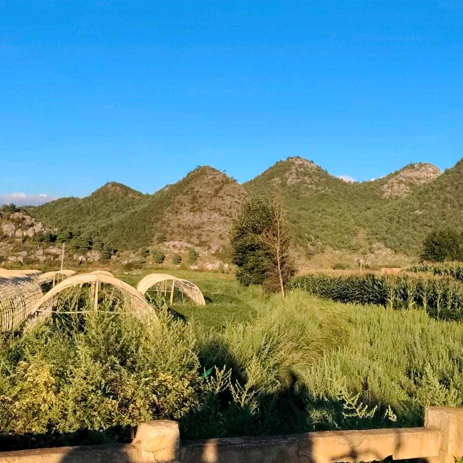 與眾不同