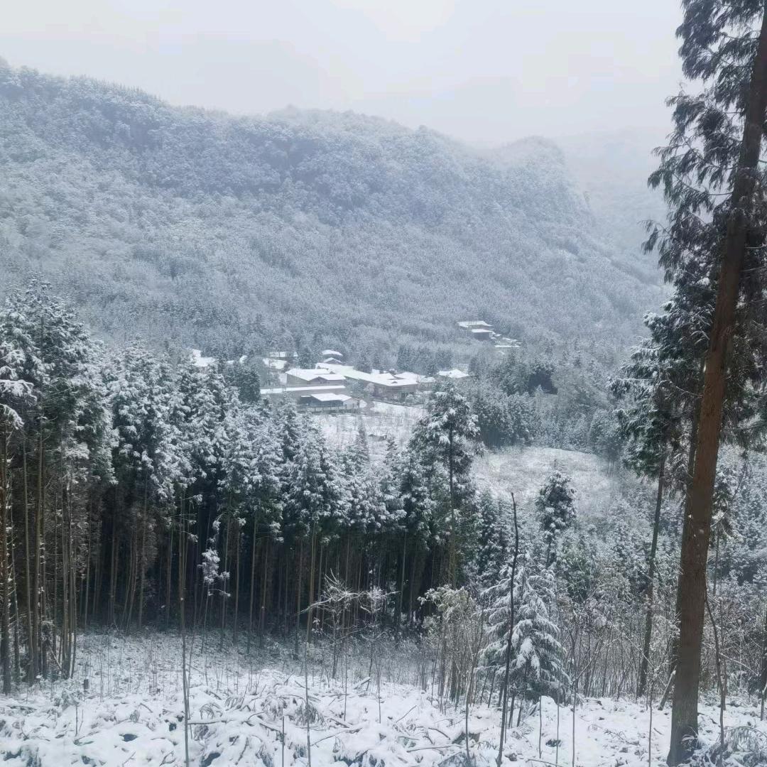府门批发商行李朝元