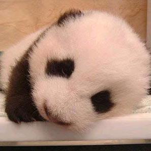 A全友整家设计--李芳