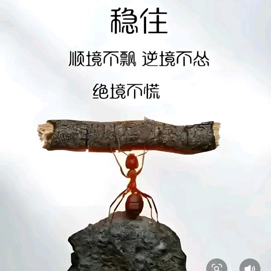 暖阳(二手电动车回收、销售)