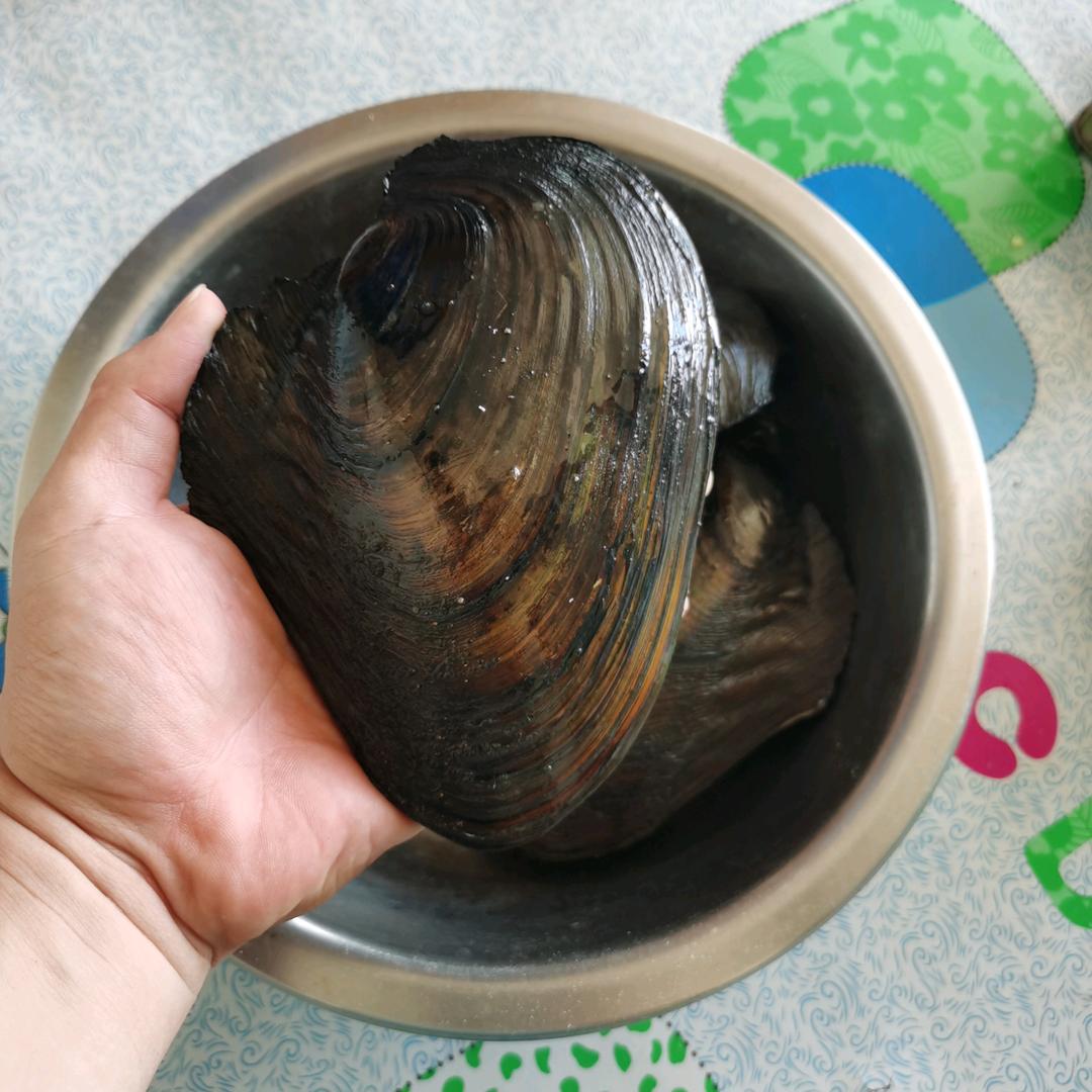 会飞の嘚鱼