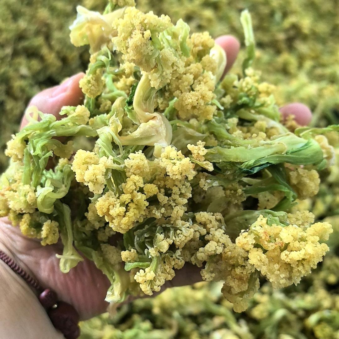 河南脱水蔬菜厂