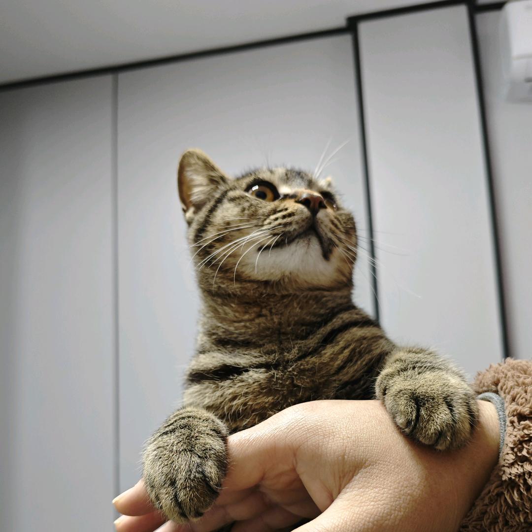 有余头像