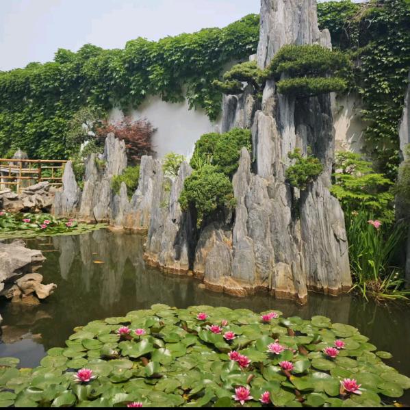 心缘✨✨✨