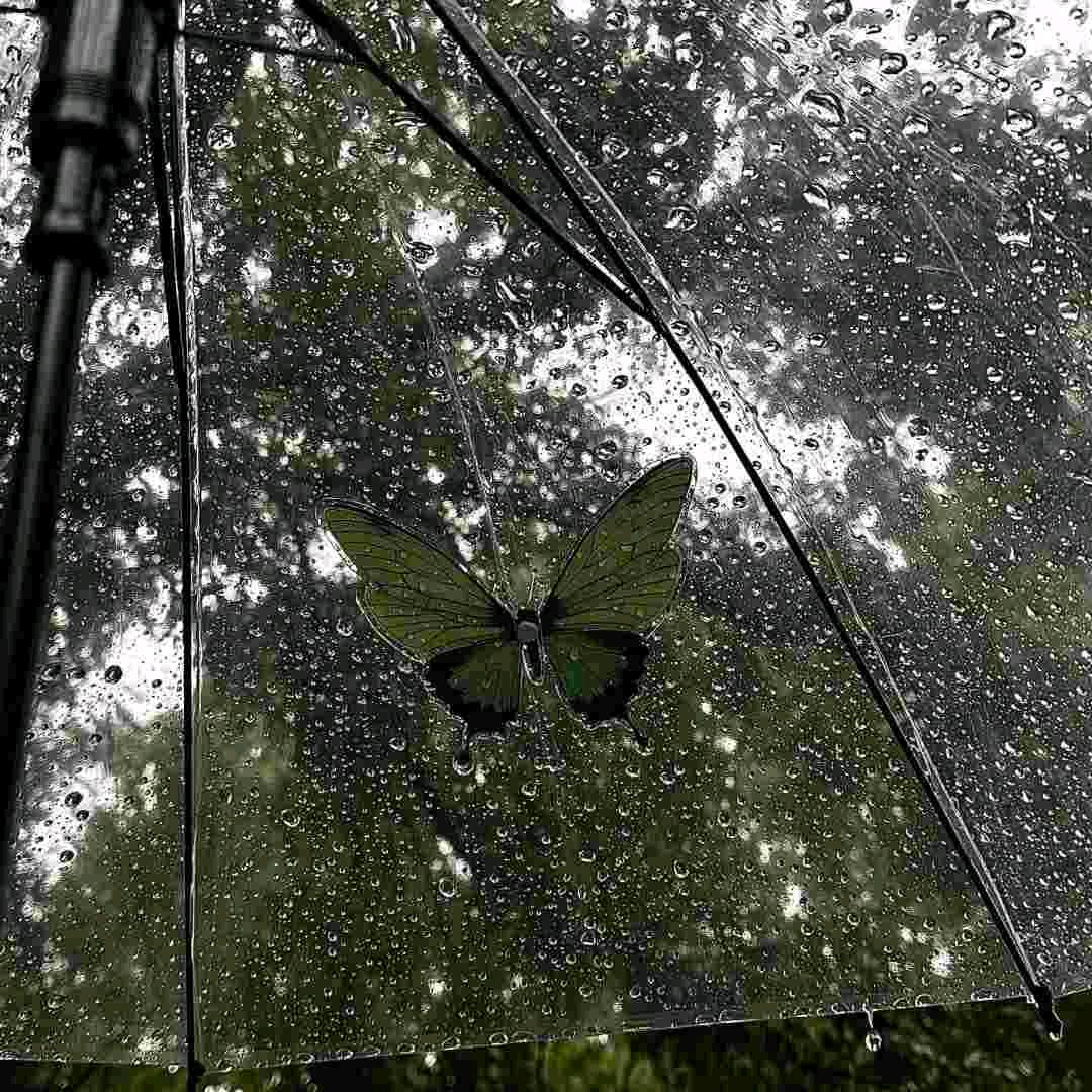 清水1