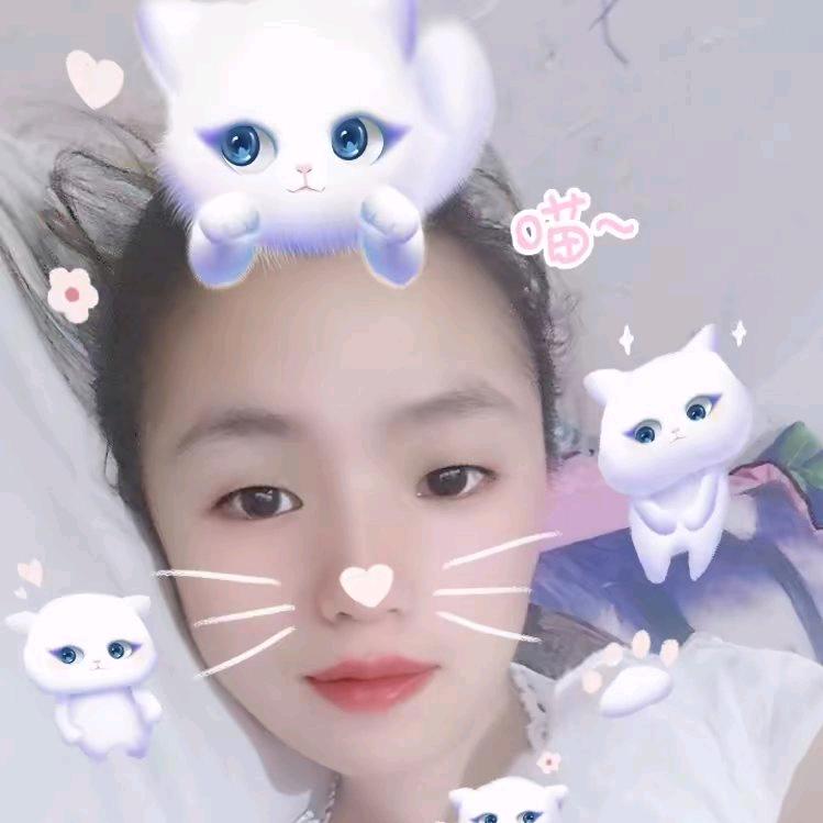 小菊先