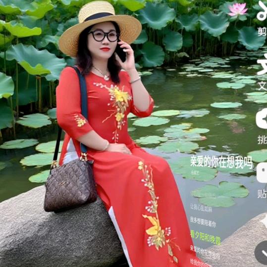 hai phu ly ha nam
