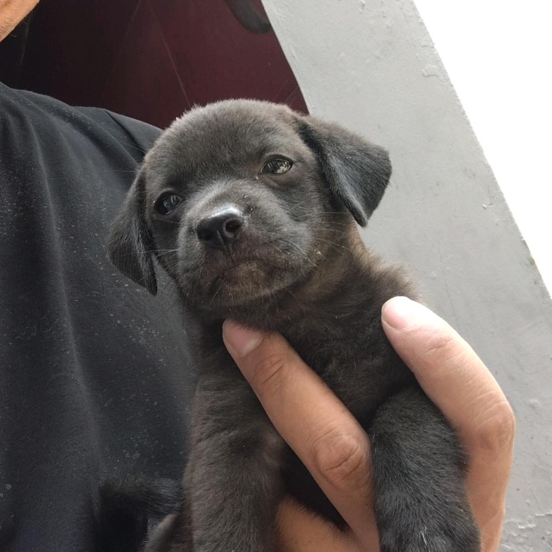 专业承接钢结构防火涂料工程施工