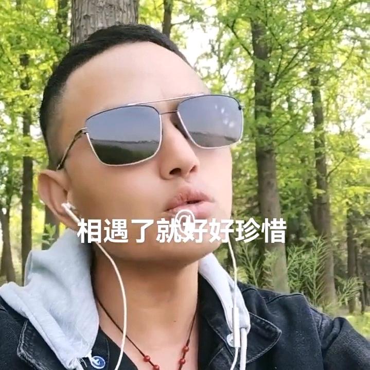 梦蝶