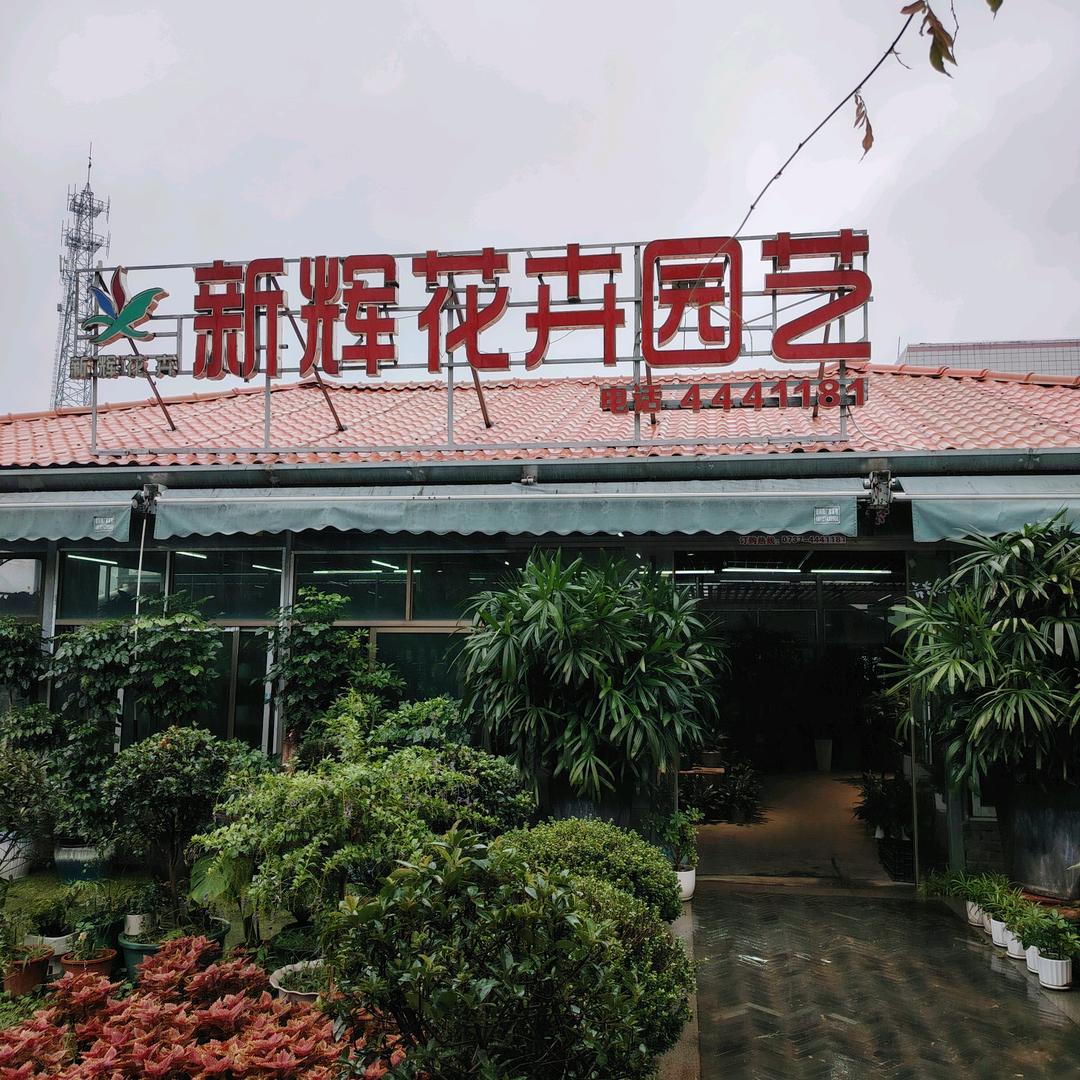 益阳新辉花卉