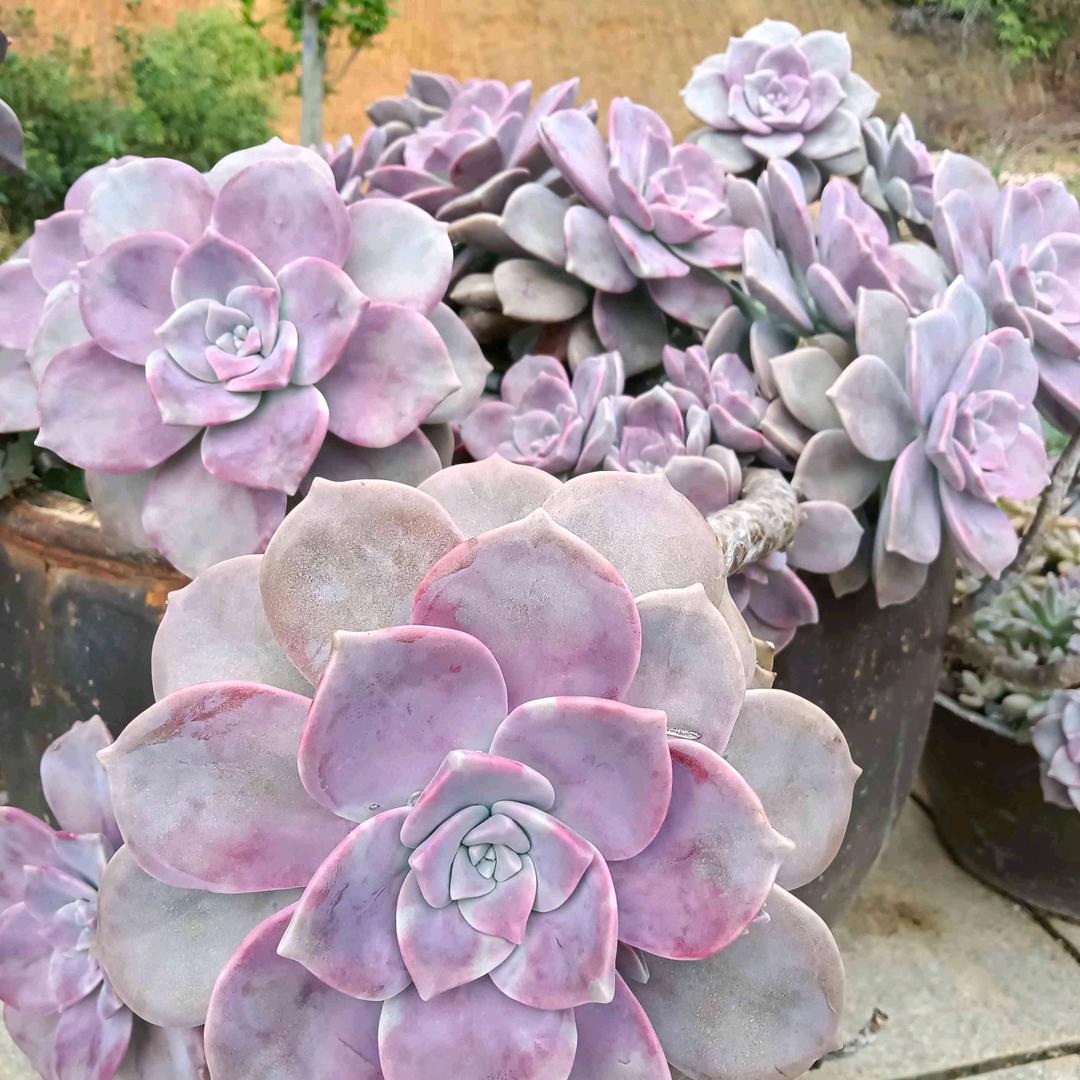 手机用户13686873679