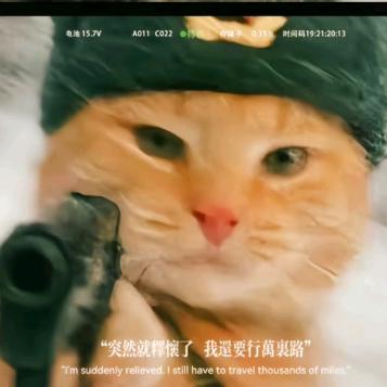 人间匆匆枕上诗书