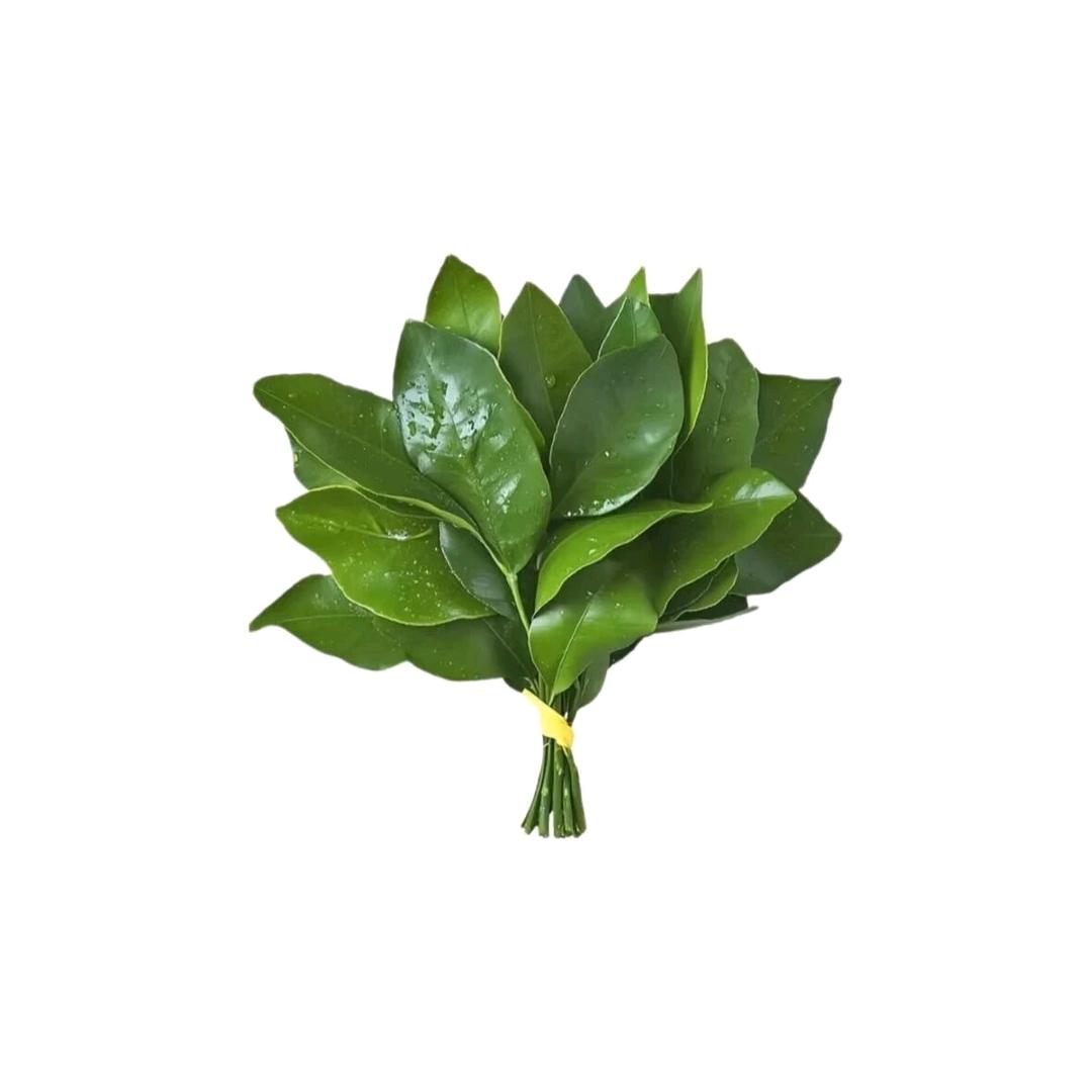 不如跳个恰恰
