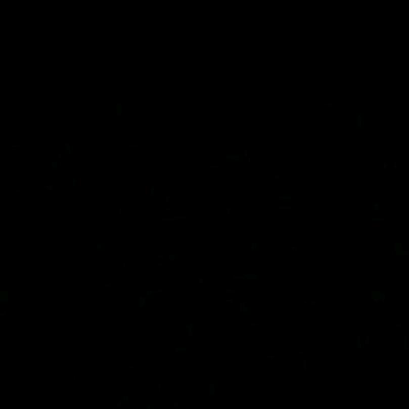 因为我曾淋过雨