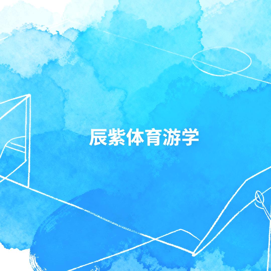 辰紫体育游学