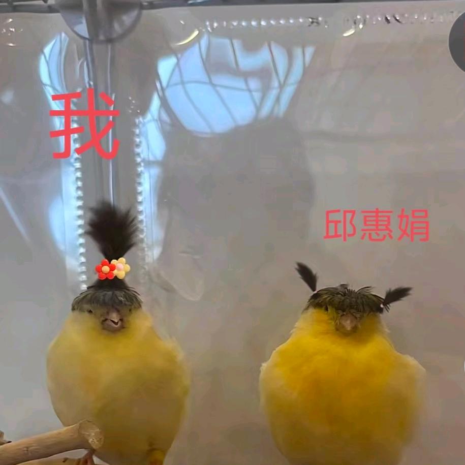 风韵犹存的继父