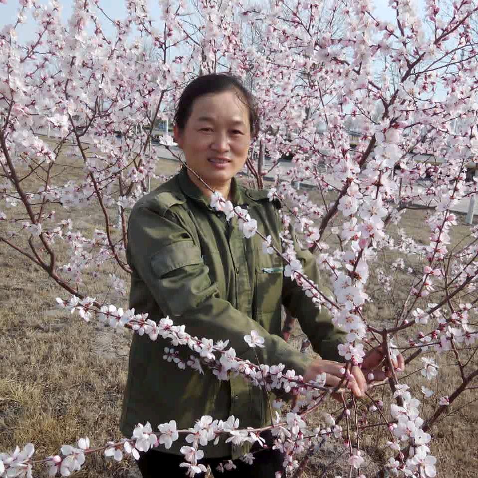 水苍玉《郝》