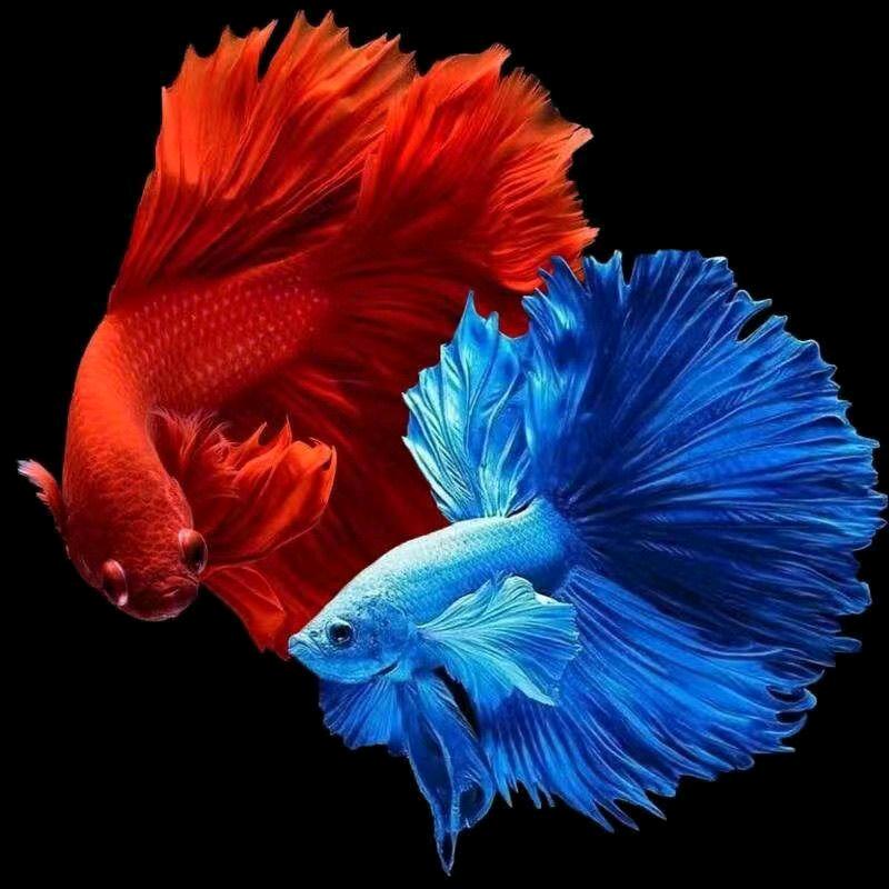 潮汐秘境水族店