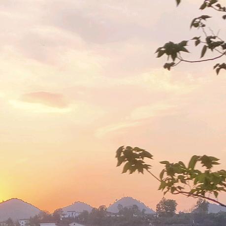 搞怪Y小疯