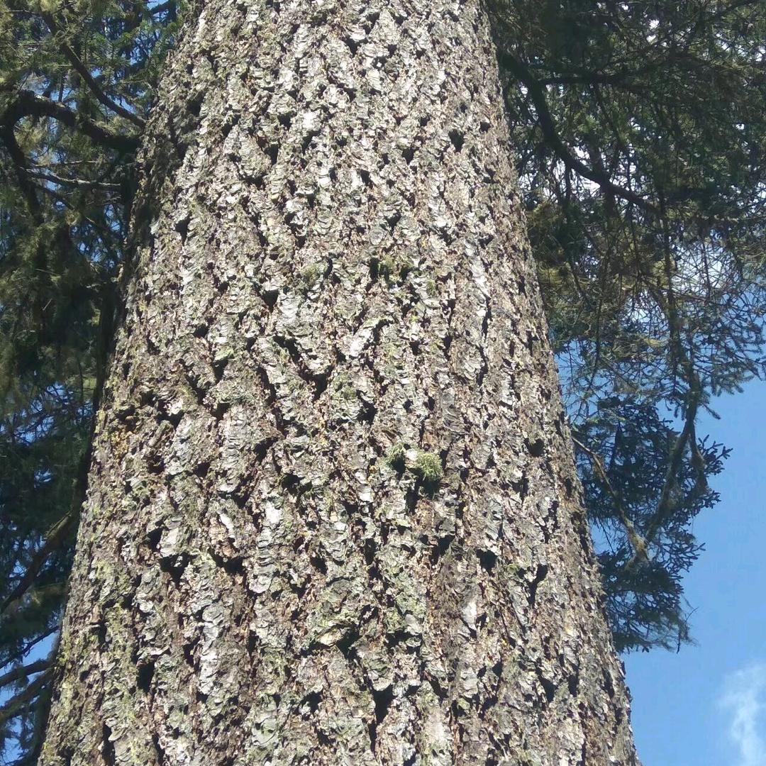 心态决定一切（张永斌）