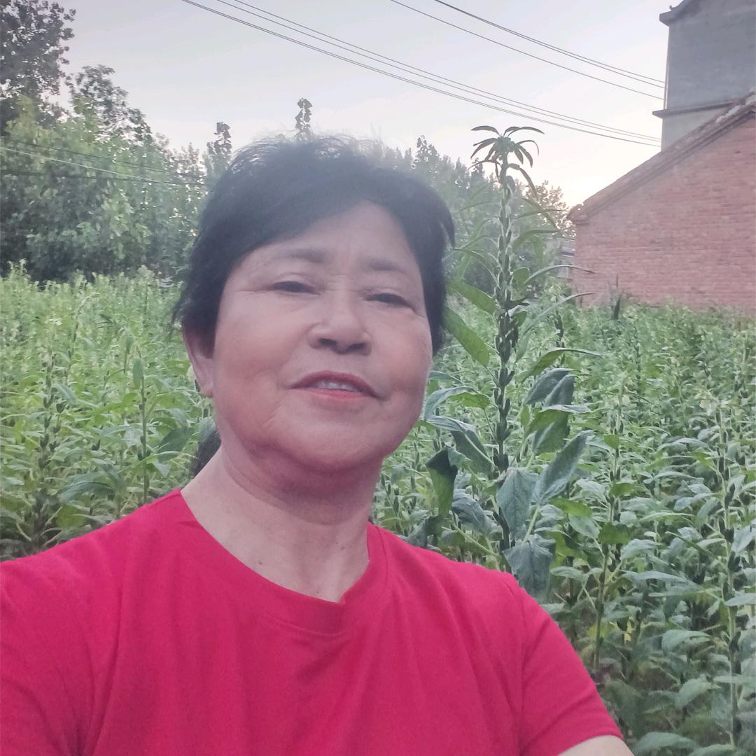 谯城区刘文俊电器经营部（桔红姐小号）