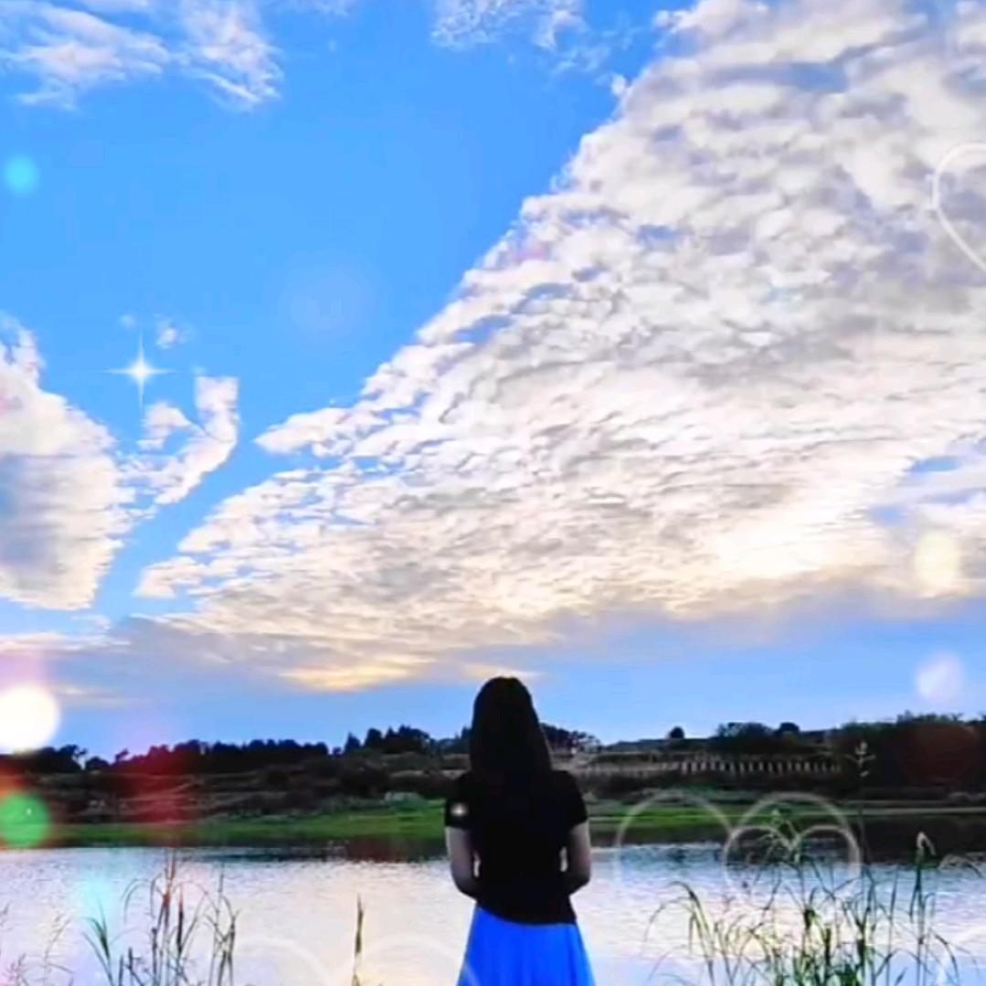 壹个人也是走 ，走的更快乐 。