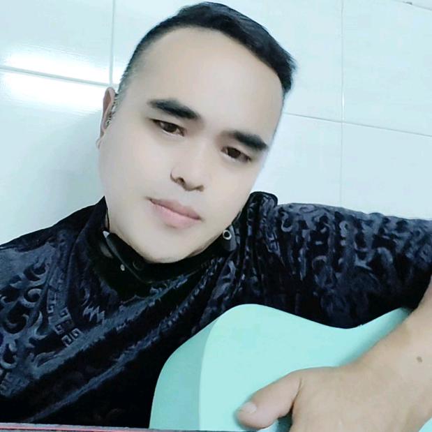 刘先生伤感情歌