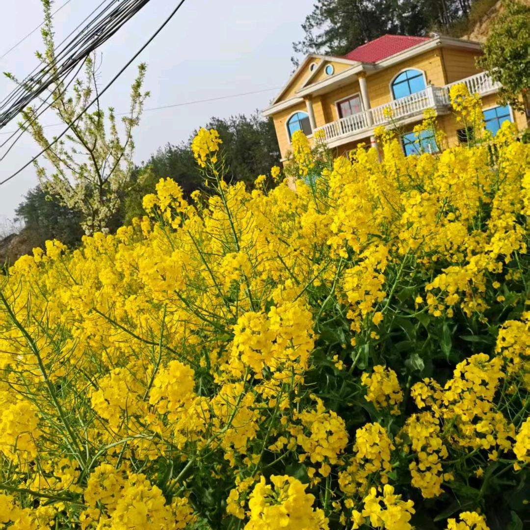 一生相伴